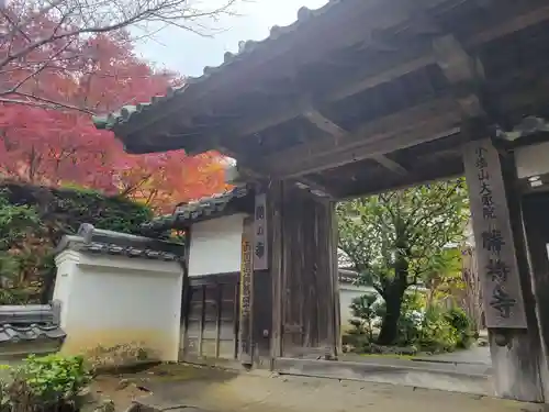 勝持寺（花の寺）の山門・神門
