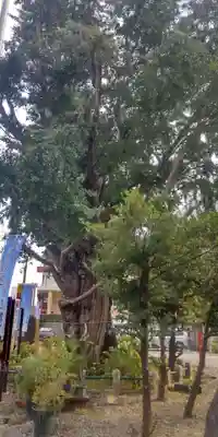 磐井神社(東京都)