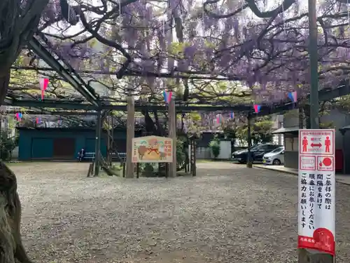 國領神社の自然