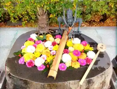 駒込妙義神社(東京都)