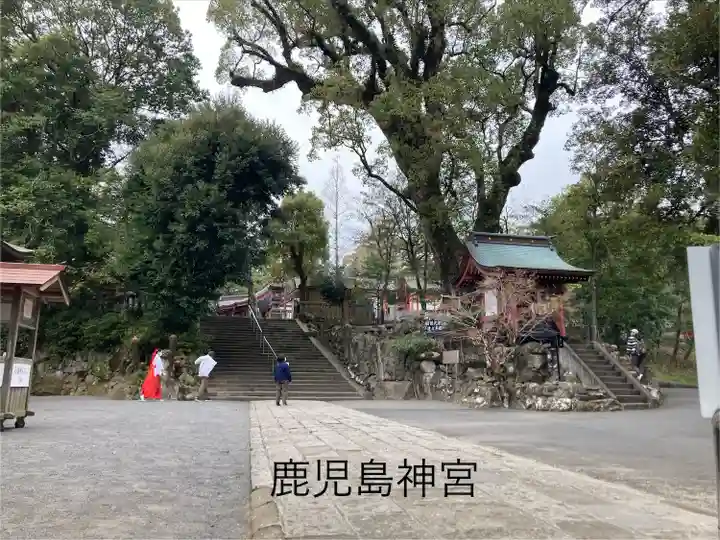 鹿児島神宮(鹿児島県)