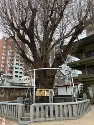 櫛田神社の{uncategorized: "未分類", other: "その他", undefined: "問題あり", building: "その他建物", grave: "お墓", sacred_gate: "鳥居", guardian: "狛犬", statue: "像", buddha: "仏像", history: "歴史", nature: "自然", garden: "庭園", animal: "動物", pagoda: "塔", temizu: "手水舎", mountain_gate: "山門・神門", sanctuary: "本殿・本堂", subordinate: "末社・摂社", art: "芸術", scenery: "景色", jizo: "地蔵", ema: "絵馬", goshuin: "御朱印", omikuji: "おみくじ", items: "授与品その他", amulet: "お守り", goshuincho: "御朱印帳", eats: "食事", festival: "お祭り", votive_dance: "神楽", shichigosan: "七五三参", wedding: "結婚式", experience: "体験その他", initially: "初詣", around: "周辺", anti_infection: "感染症対策"}