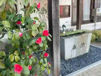 泉州磐船神社(大阪府)