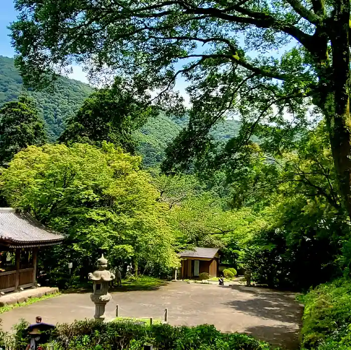 久安寺の建物その他