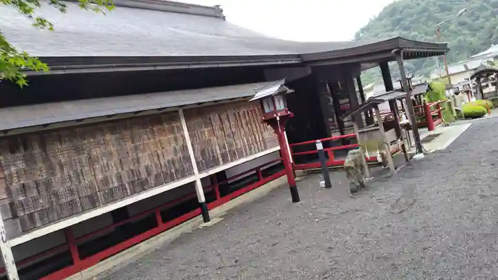 九頭竜大社(京都府)