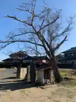 禅昌寺(千葉県)