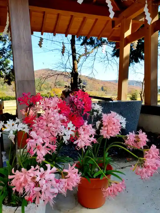 高司神社〜むすびの神の鎮まる社〜のその他建物