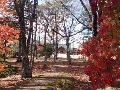 大樹神社の周辺