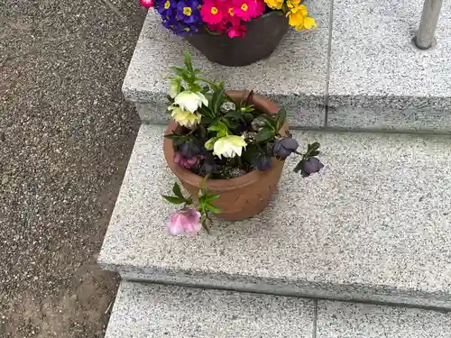 前川神社(埼玉県)