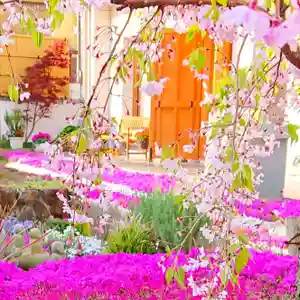 寿量山 速成寺の自然(2021年04月08日(木) 13時37分24秒投稿)