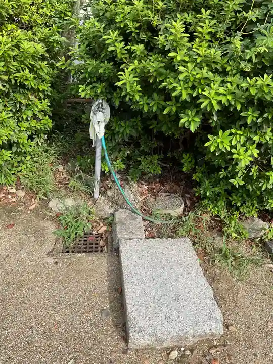 松林寺(愛知県)