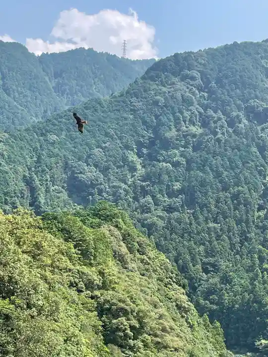 森岡神社(愛媛県)