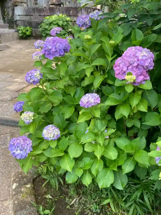 雲頂庵(神奈川県)