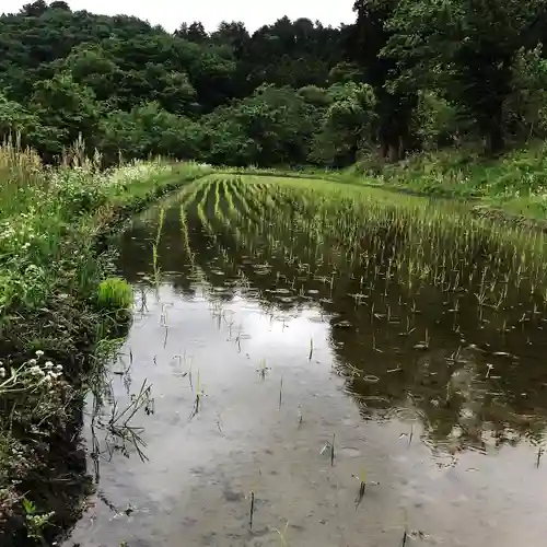 高司神社〜むすびの神の鎮まる社〜の自然