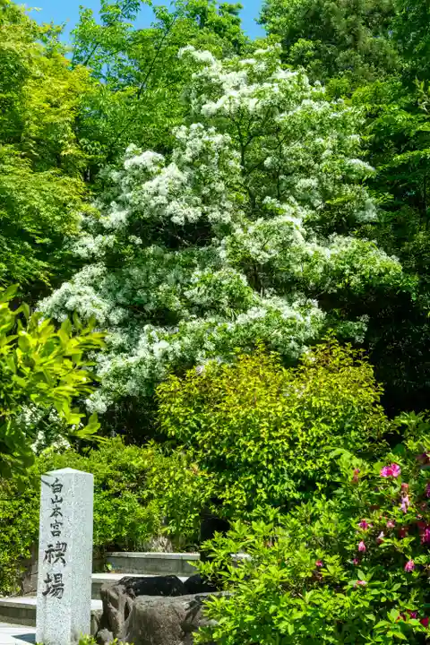 白山比咩神社(石川県)