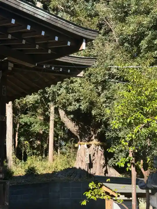 鐵神社(神奈川県)