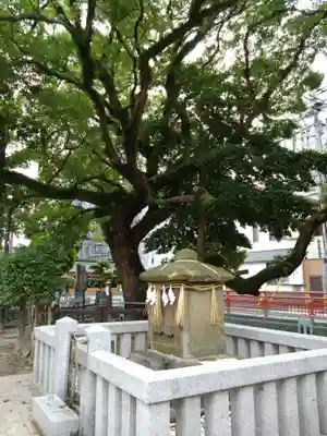 天津神社の本殿・本堂