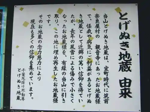 妙泉寺（千葉厄除け不動尊）の歴史