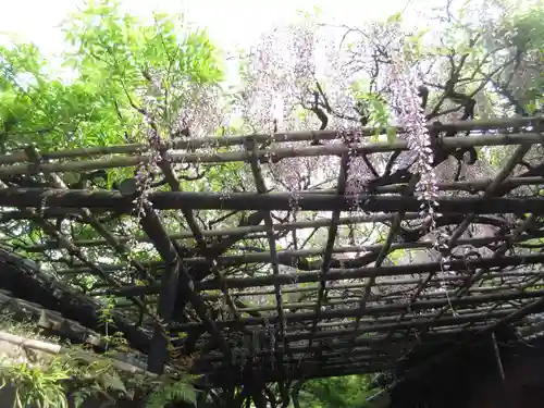 長岡天満宮の庭園