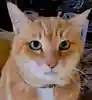 ナタさん