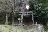 浅草神社の鳥居