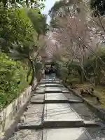 高台寺(高台寿聖禅寺・高臺寺)の{uncategorized: "未分類", other: "その他", undefined: "問題あり", building: "その他建物", grave: "お墓", sacred_gate: "鳥居", guardian: "狛犬", statue: "像", buddha: "仏像", history: "歴史", nature: "自然", garden: "庭園", animal: "動物", pagoda: "塔", temizu: "手水舎", mountain_gate: "山門・神門", sanctuary: "本殿・本堂", subordinate: "末社・摂社", art: "芸術", scenery: "景色", jizo: "地蔵", ema: "絵馬", goshuin: "御朱印", omikuji: "おみくじ", items: "授与品その他", amulet: "お守り", goshuincho: "御朱印帳", eats: "食事", festival: "お祭り", votive_dance: "神楽", shichigosan: "七五三参", wedding: "結婚式", experience: "体験その他", initially: "初詣", around: "周辺", anti_infection: "感染症対策"}