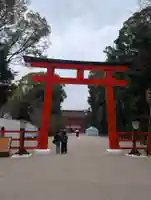 賀茂御祖神社(下鴨神社)(京都府)