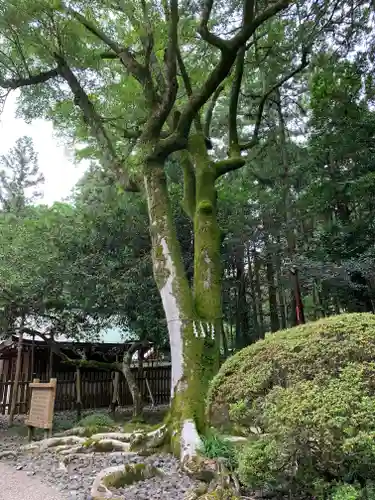 多田神社の自然