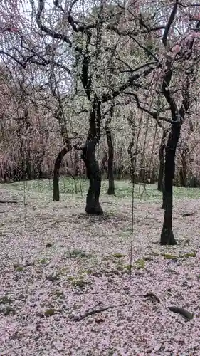 城南宮(京都府)