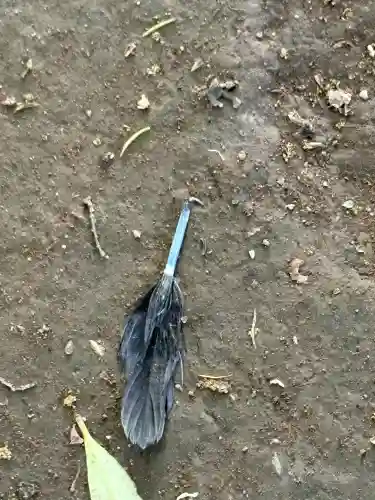 雀神社(茨城県)