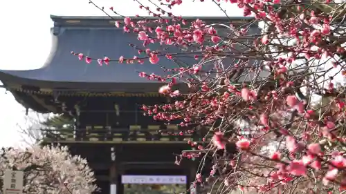 北野天満宮の山門・神門