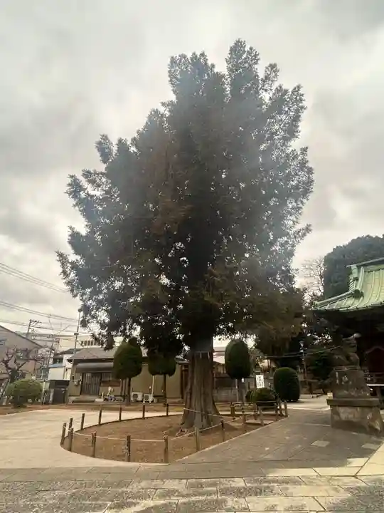 諏訪神社(東京都)