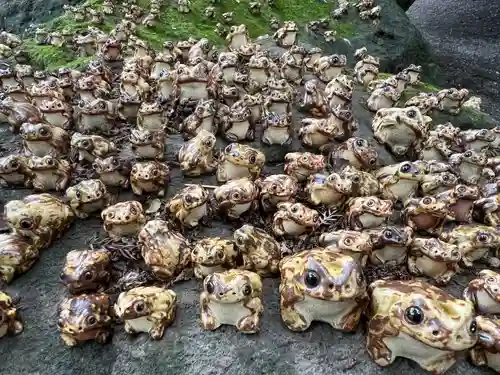 渋川八幡宮(群馬県)