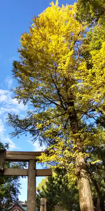 琴浦神社(兵庫県)