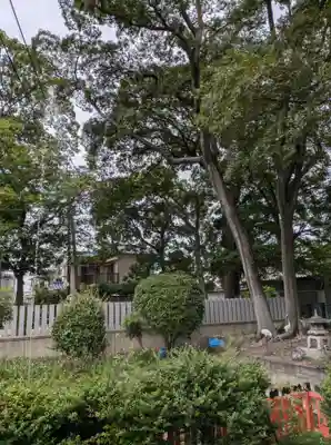 許麻神社(大阪府)