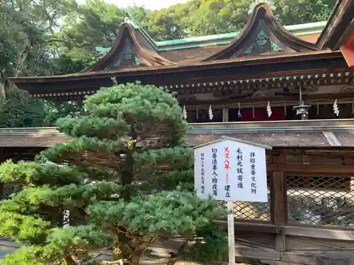 住吉神社の本殿・本堂