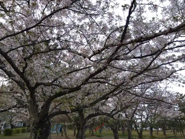 濱見神社(福井県)