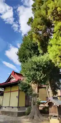 稲荷神社(埼玉県)