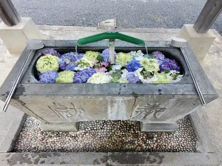 賀茂別雷神社の手水舎