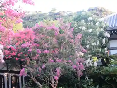 長谷寺の自然