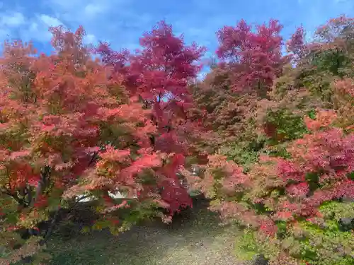 桂谷寺(兵庫県)