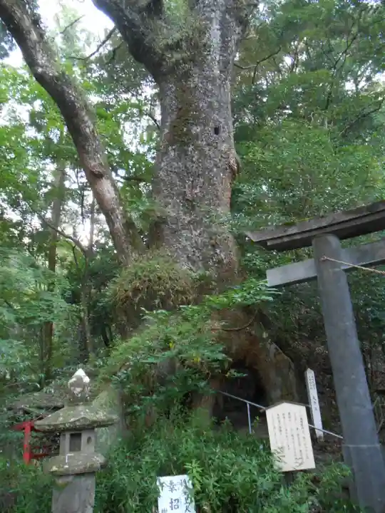 東霧島神社(宮崎県)