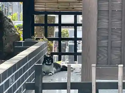 少林寺(埼玉県)