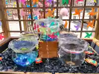 金井神社の{uncategorized: "未分類", other: "その他", undefined: "問題あり", building: "その他建物", grave: "お墓", sacred_gate: "鳥居", guardian: "狛犬", statue: "像", buddha: "仏像", history: "歴史", nature: "自然", garden: "庭園", animal: "動物", pagoda: "塔", temizu: "手水舎", mountain_gate: "山門・神門", sanctuary: "本殿・本堂", subordinate: "末社・摂社", art: "芸術", scenery: "景色", jizo: "地蔵", ema: "絵馬", goshuin: "御朱印", omikuji: "おみくじ", items: "授与品その他", amulet: "お守り", goshuincho: "御朱印帳", eats: "食事", festival: "お祭り", votive_dance: "神楽", shichigosan: "七五三参", wedding: "結婚式", experience: "体験その他", initially: "初詣", around: "周辺", anti_infection: "感染症対策"}