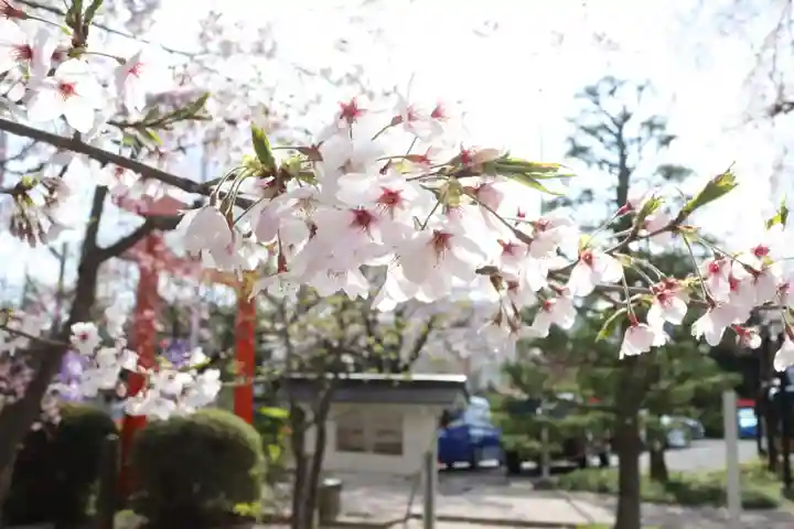 諏訪神社の自然
