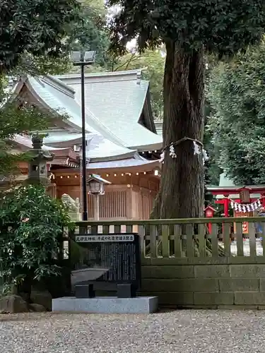 岩槻久伊豆神社の本殿