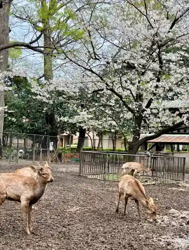三嶋大社(静岡県)