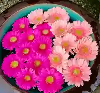 上尾御嶽神社の手水舎