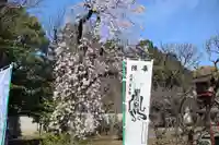 寛永寺開山堂(東京都)