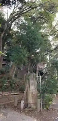 金山神社の自然